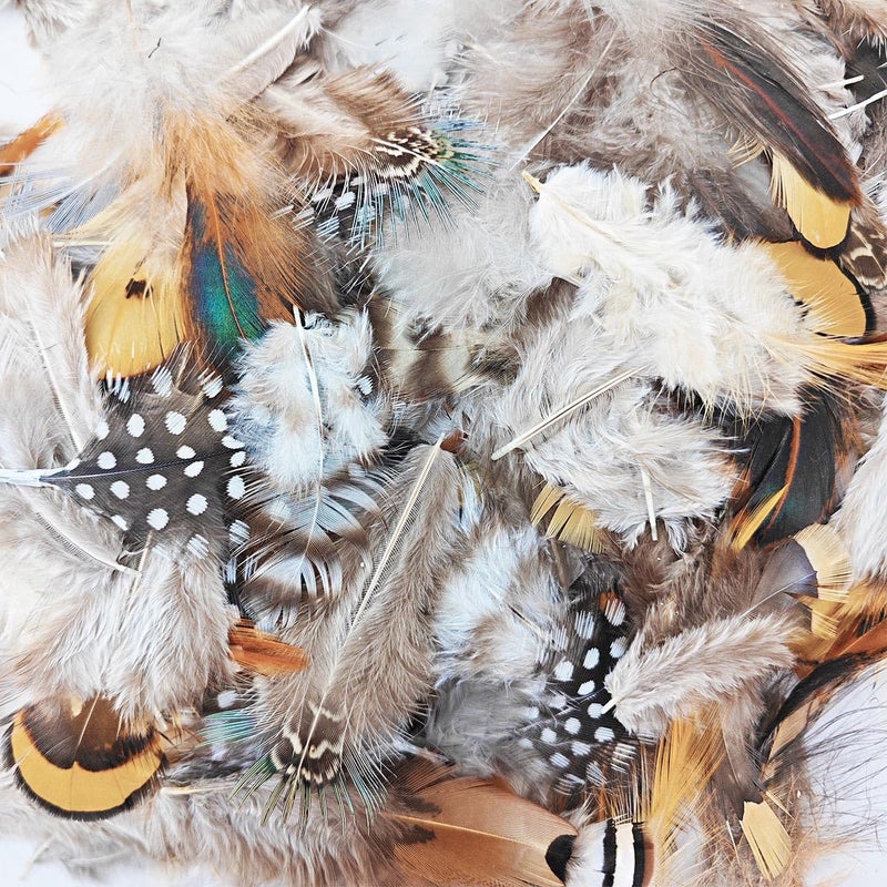 ANTUNIHOD 200pcs 10 Style Natural Feathers Assorted Mixed Feathers for Dream Catcher Crafts Decoration (10 Styles - 200 Pcs) - Image 3